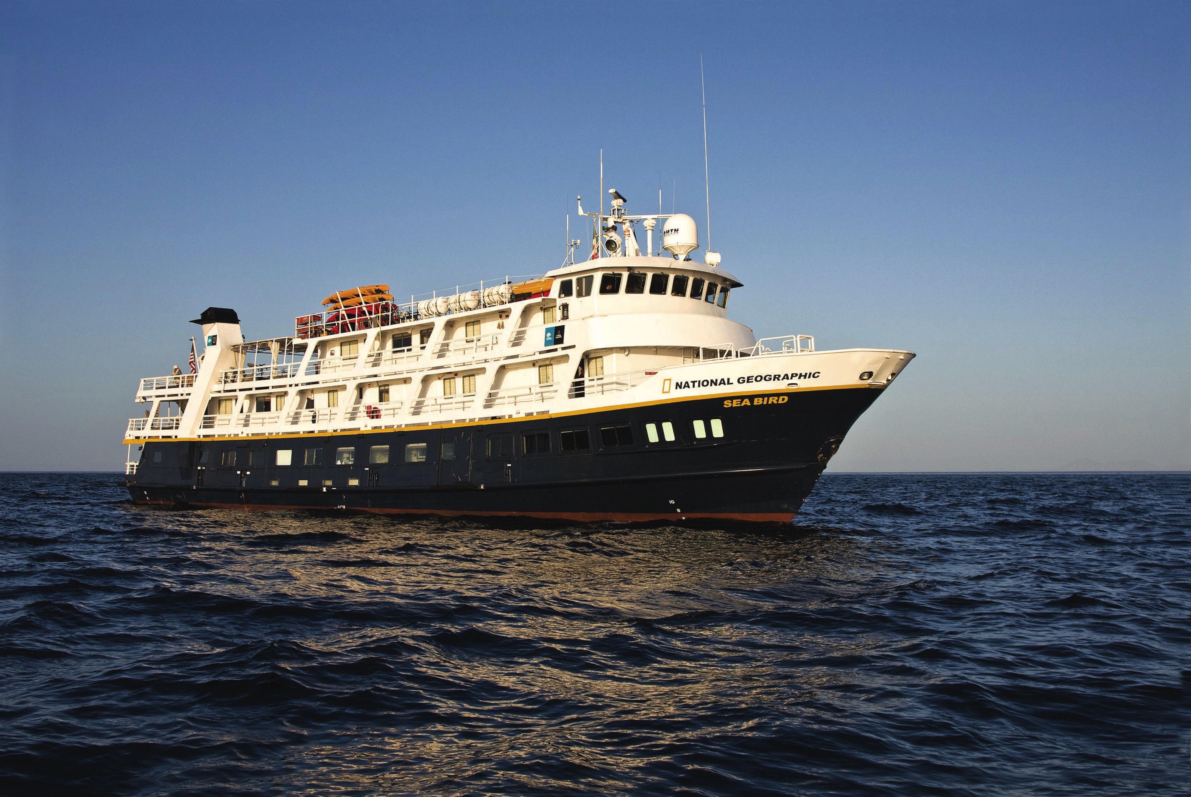 National Geographic Sea Bird